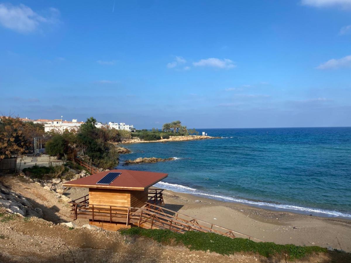 Olive Tree Villa - Протарас Екстериор снимка